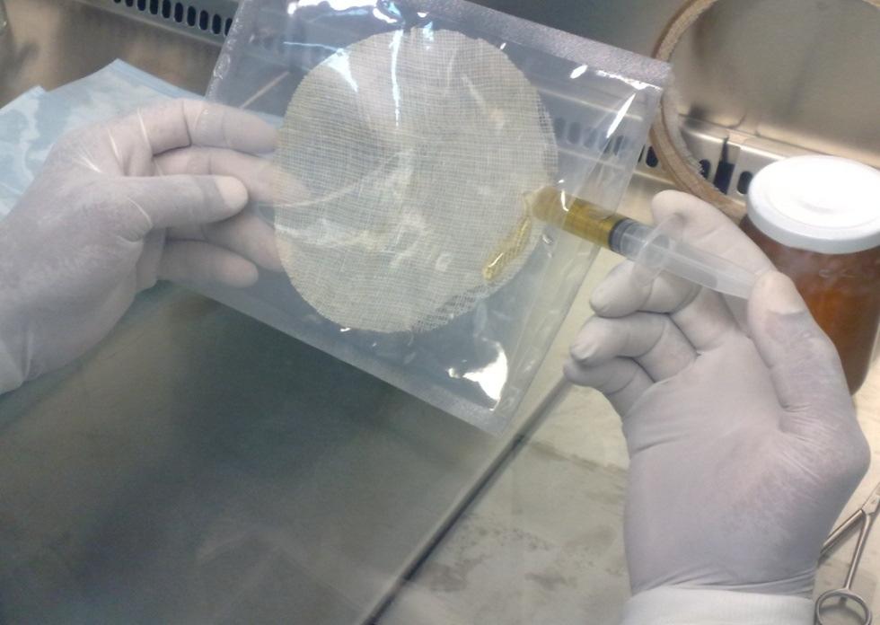 Addition of Honey pasteurized honey is added aseptically to membrane graft.