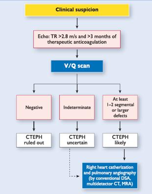 DD on echo: acute PE or CTEPH?? Management of acute-onchronic RV failure, i.e. acute PE and suspected pre-existing CTEPH: (1) General measures of RV failure management!