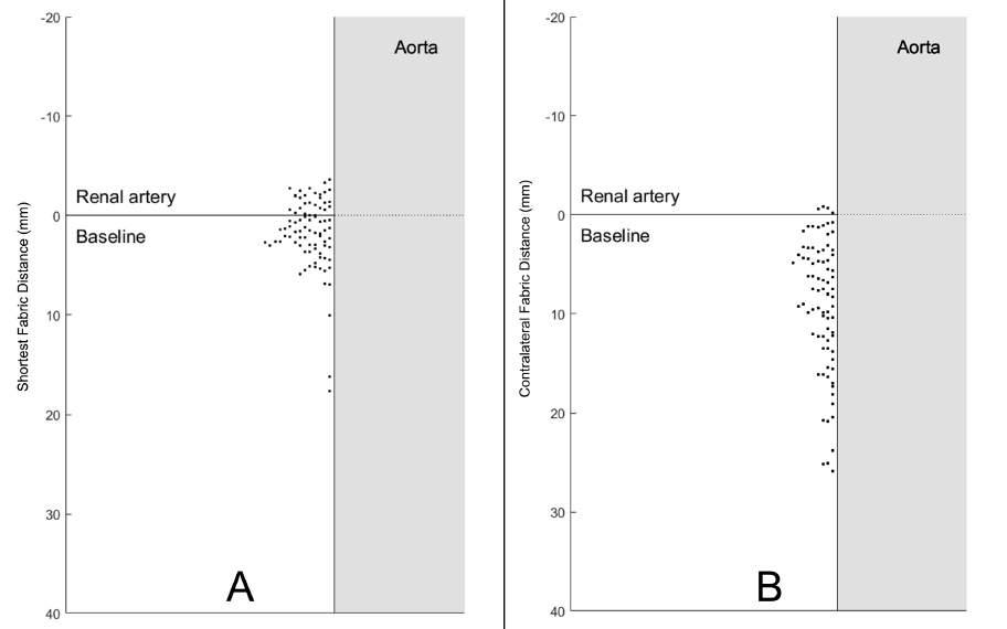Fabric distance from renal arteries