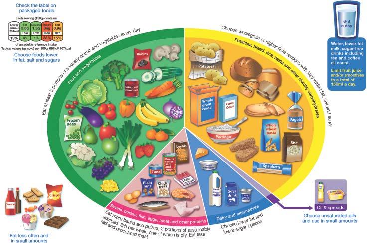 Your guide to eatwell plate! The eatwell plate shows the different types of food we need to eat, and shows the proportions we should eat them in to have a well balanced and healthy diet.