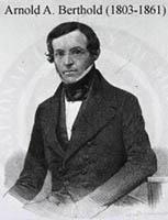 Arnold A Berthold (1803-1861) In one of the first endocrine experiments ever recorded, Professor Arnold