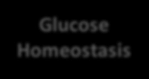 Glucose Homeostasis Insulin released Blood glucose high Blood glucose
