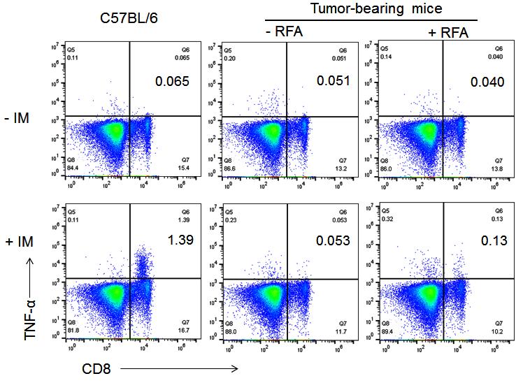 RFA impacts the frequency of CD8 T cells secreting TNF-α in