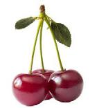 ph value was measured electrometrically with a ph meter (Sartorius PB11 Germany), (Figure 6), or more precisely, strawberry and raspberry ph was determined via citric acid, and sour cherries via