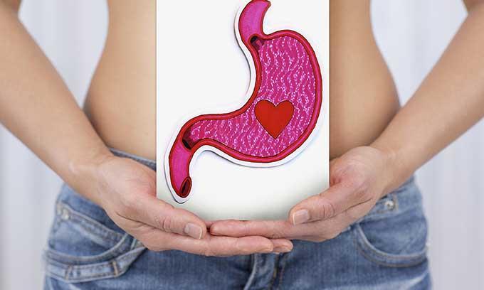 Benefits Maintain healthy gut flora Better digestion Better absorption of nutrients