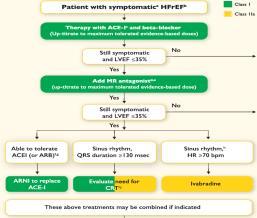 Slide 20 Therapeutic algorithm for a patient with symptomatic HFrEF Slide 21 Criteria for discharge from hospital and follow-up in the high-risk period Patients admitted with AHF are medically fit