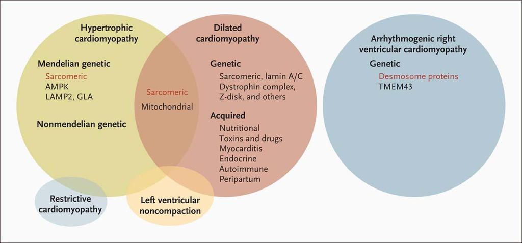 Clinical Categories of Inherited Cardiomyopathies and Their