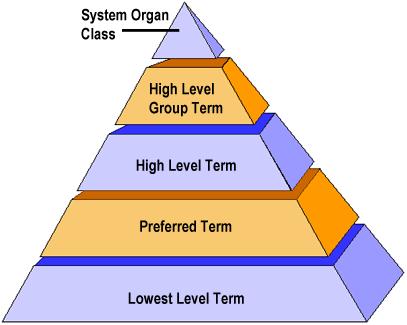 MedDRA Hierarchy Part B, MedDRA Scope and