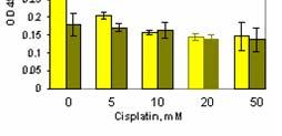 toxicity in the absence of cisplatin (right panel), further suggesting that nuclear MT2A play an important role in detoxification.
