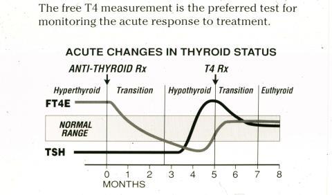 Therapy Monitoring Clinical and laboratory evaluations should be performed At 6- to 8-week intervals while titrating Every 2 to 3 weeks in severely hyper-/hypothyroid states (the FT4 is most helpful