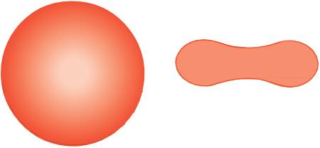 The Blood Film and Count 3 Fig. 1.2 A diagram of a red cell viewed from above and in cross section. Fig. 1.3 Normal red cells (erythrocytes) showing little variation in size and shape, an approximately round outline and a small area of central pallor in some of the cells.