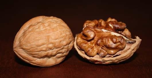 A HARD NUT TO CRACK PROSTATE CANCER A man s prostate is about the size and form of a walnut Over his lifetime, one man in seven will be confronted with prostate cancer.