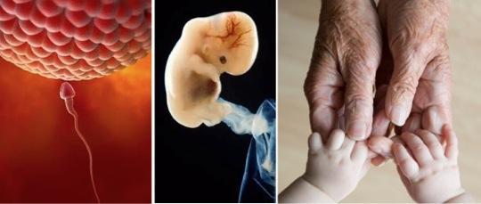 Developmental Origins of Health and Diseases (DOHaD) Link Child Diseases:Congenital Anomalies, ADHD, Autism, Asthma,