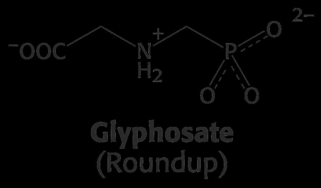 2.10 Tryptophan 33 33 2.10 Roundup Glycophate inhibites the enzyme that converts 5-Enolpyruvylshikimate 3 phosphate to chorismate. 34 34 2.11 Substrate Channeling (skip) 35 35 3.