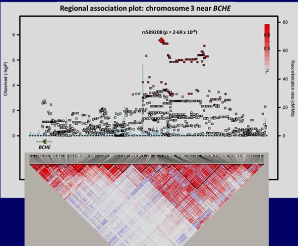 Influence of APOE Chromosome 3: BCHE Region Independent, genome-wide significant associations with serum BuChE activity Signal extends 800 kb