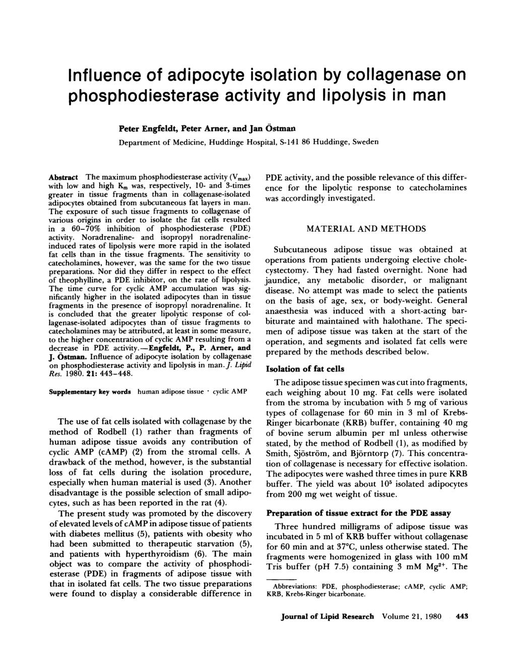Influence of adipocyte isolation by collagenase on phosphodiesterase activity and lipolysis in man Peter Engfeldt, Peter Amer, and Jan Ostman Department of Medicine, Huddinge Hospital, S-14 1 86