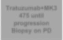 Trastuzumab-resistant, HER2-positive breast cancer