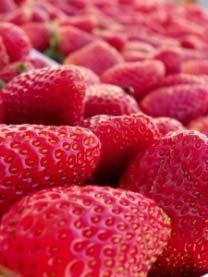 Vitamin C: strawberries, citrus fruits, broccoli, spinach Folic acid: leafy