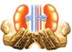 Free!! Kidney Guide in 25+ Languages at www..kidne Kidney. yeduca Education y tion.