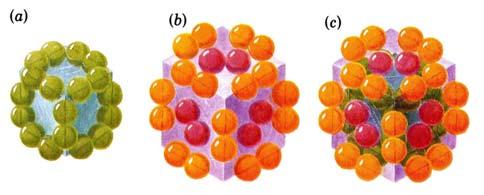 24 E2 subunits 24 E1 orange a and b together 12 E3 Red EM based image of the core E2 from yeast pyruvate dh 60 subunits associated as 20 cone-shaped trimers that are verticies of a dodecahedron Why