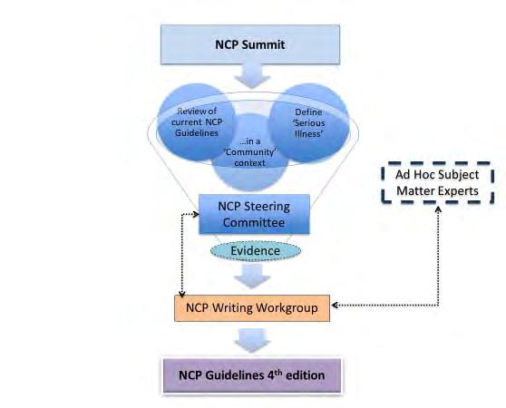 National Consensus Project Process Development: Steering Committee and Writing Workgroup formed NCP Strategic Directions Stakeholder Summit held Writing > reviews > revisions > approvals > consensus