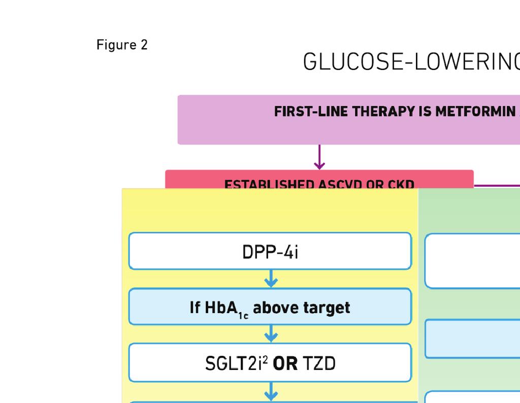 Glucose-lowering Medication in Type 2 Diabetes: Overall Approach Consensus Recommendation: The