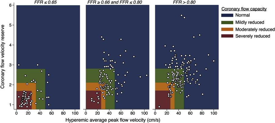Scatter Plots of Fractional Flow Reserve Across Map of Coronary Flow