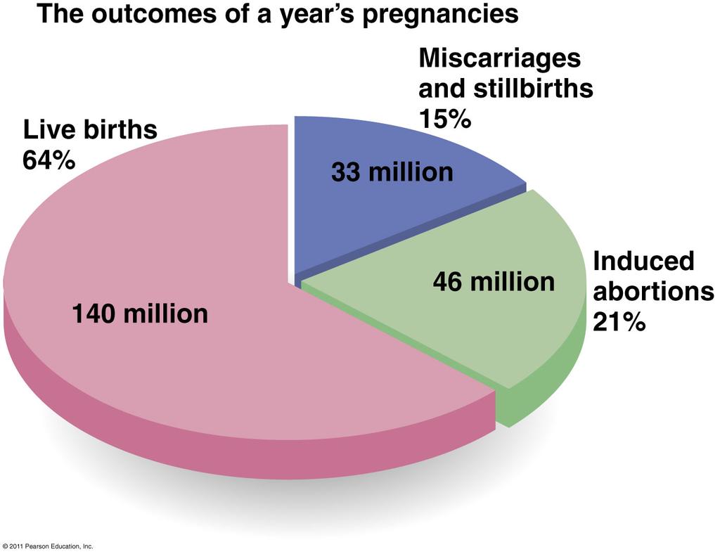 The world s pregnancies.
