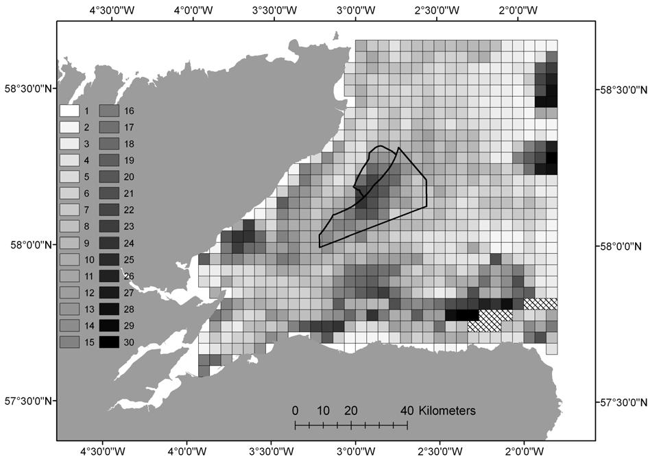 Figure 3.8. The predicted number of harbour porpoises in each cell. Values are based upon measures of relative abundance derived from the habitat association modelling (Fig 3.