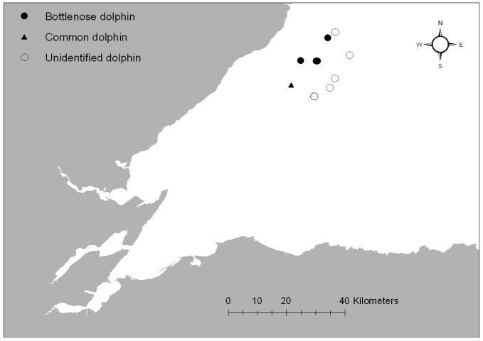 Figure 7. Sightings of dolphins made during the BOWL boat surveys between April and October 2010 (taken from Thompson and Brookes 2011).