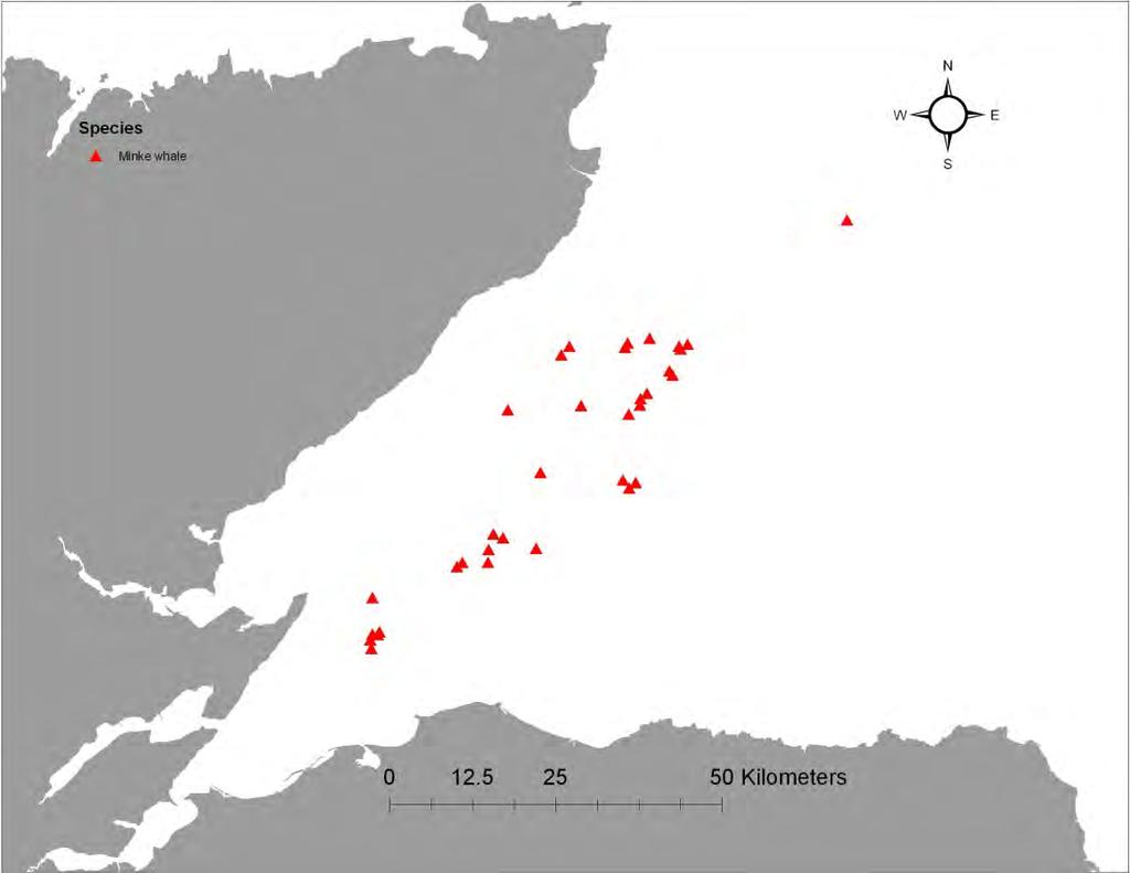Figure 35. Map of survey tracks from the University of Aberdeen s 2009 boat based surveys (taken from Thompson and Brookes 2011). Figure 36.
