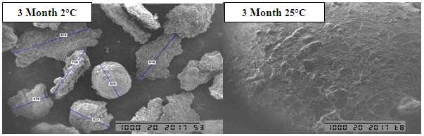 Fig. 3: Effect of storage time on power expand mucoadhesive microrogranules of ranitidine HCL. The results of the expanded and mucoadhesive power tests in vitro in Fig.