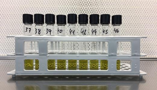 A onomitnt study hd nlysed their influene on ruminl fermenttion nd BH (Torl et l., 2017).