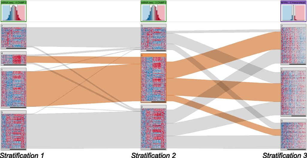 Correlation between stratifications. The width of the bands denotes the overlap between subsets of adjacent stratifications.