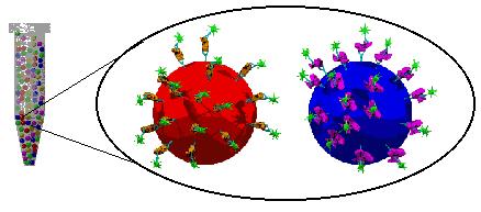Multi-Analyte Soluble Bead Array Technology MICROSPHERE COLOR INDENTIFIES