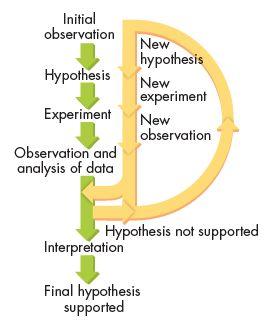 Testability/Falsifiability a hypothesis is not testable/falsifiable if there is no conceivable null hypothesis Research Tools -simple devices (meter sticks) -sophisticated equipment (machines to
