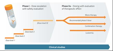 Cantargia s initial clinical phase I/IIa study includes both monotherapy and combination therapy, where CAN04 is combined with the existing standard treatment.