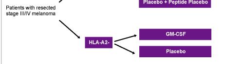 Presence of HLA-Cw*6 is related with better outcome in IFNtreated t