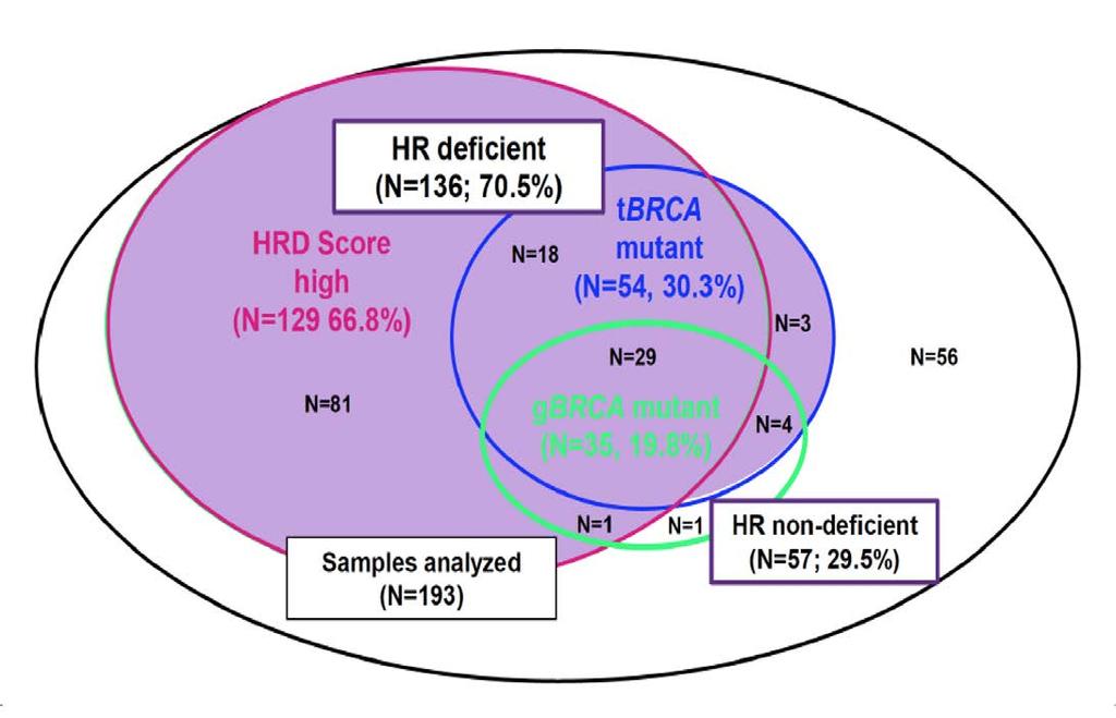 HRD - Biomarker Strategies and Tumor Heterogeneity Different Assays Identify Overlapping Populations Methods for HR deficiency: NGS sequencing for BRCA In normal cells (germline) In tumor cells HDR