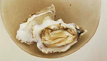 10 4. Oysters Shellfish, in general, is an excellent source of zinc, calcium, copper, iodine, iron, potassium, and selenium.