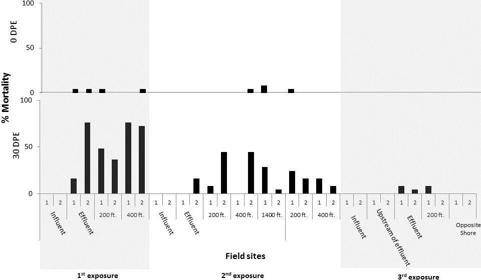 FIGURE 2.4 Initial and final mortality attributed to Flavobacterium columnare in Oncorhynchus tshawytscha sentinel fish exposed at Dexter Ponds, 2013, with two groups per site. 1 st exposure = Sept.