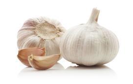 Garlic Allium family: onions, scallions, leeks, and chives Probably protective against stomach cancer Many substances that may protect against cancer