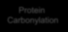 as NB-proteins Among the targets identified 60% of carbonylated proteins