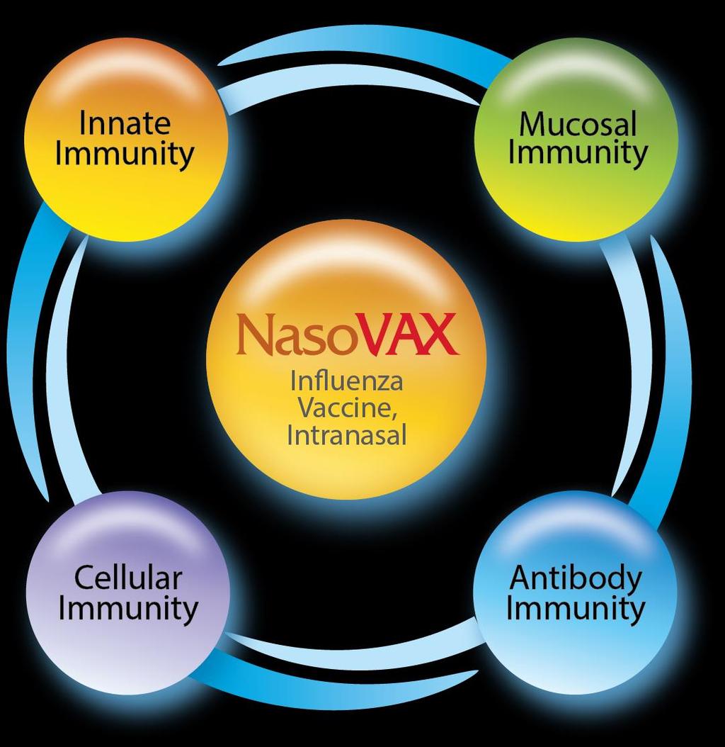 NasoVAX: A New Kind of Influenza Vaccine Potential for a more effective influenza vaccine through broader and longer lasting immunity Activates multiple arms of the immune system