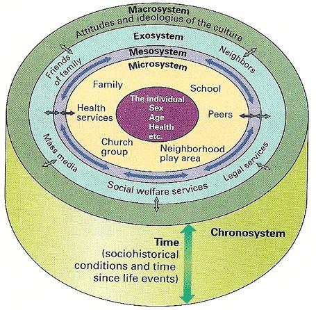 The Ecological Systems Model Microsystems