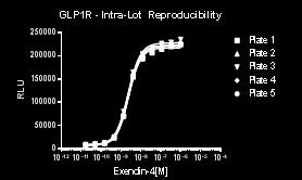 reproducibility High inter-lot reproducibility GLP1R Day to day and