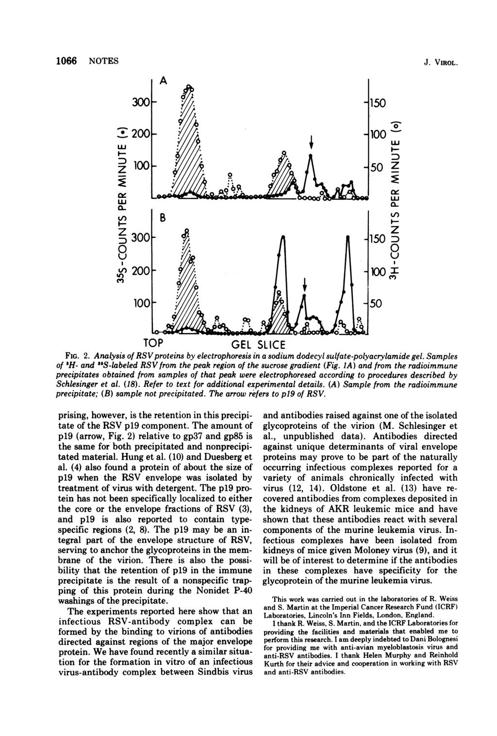 166 NOTES J. VIROL. 2 u z1 1 Lu D.5 Z CL a- Vi) B 'I) z1,.l~~~~~~~p. z.15 zd I- Dn 3 U (VI) 1 TOP GEL SLICE FIG. 2. Analysis of RSV proteins by electrophoresis in a sodium dodecyl sulfate-polyacrylamide gel.
