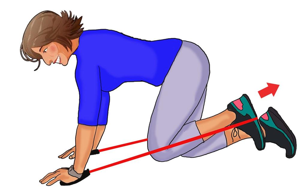 6. Band Back-Leg Extension Secure the band to your feet, and kneel with your back straight.