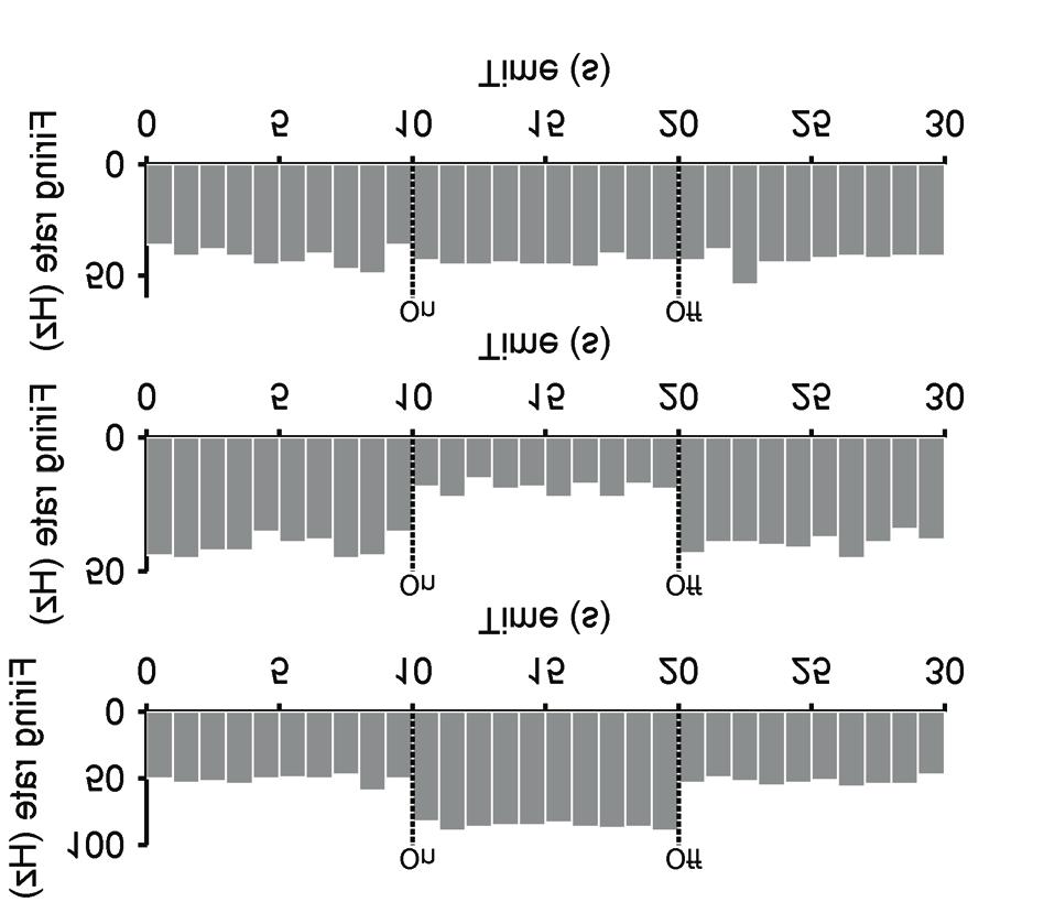 A B C D Figure 2: Subthalamic high-frequency stimulation evokes a mixture of responses in the output of the model basal ganglia.