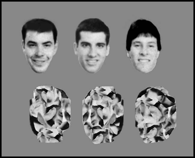 E. Awh et al. / Cognitive Psychology 48 (2004) 95 126 101 Fig. 3. The T2 faces and masks employed in Experiment 2. Individual targets and masks were randomly paired during each trial.